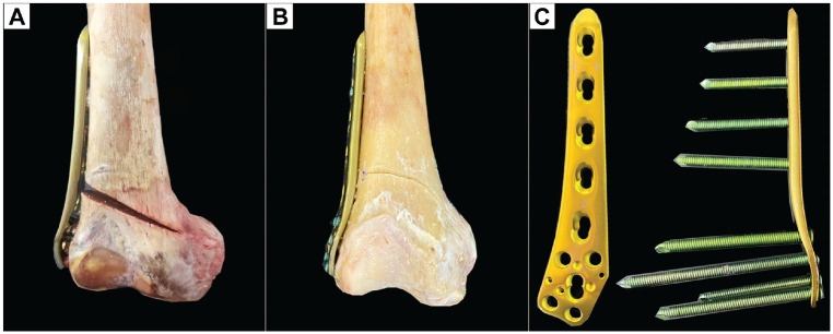 Figure 2.