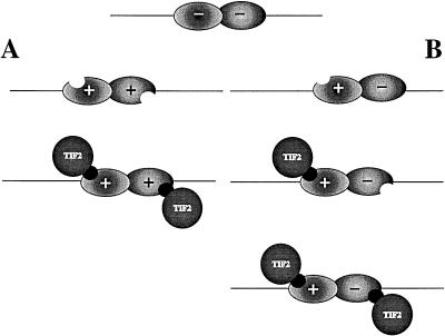 FIG. 10