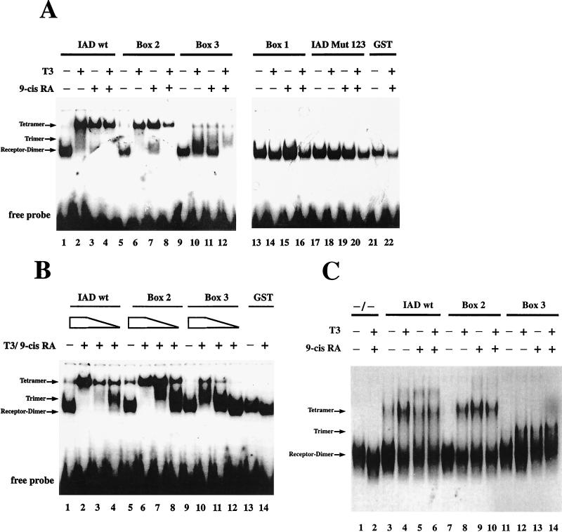 FIG. 9