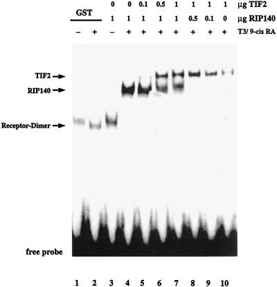 FIG. 8