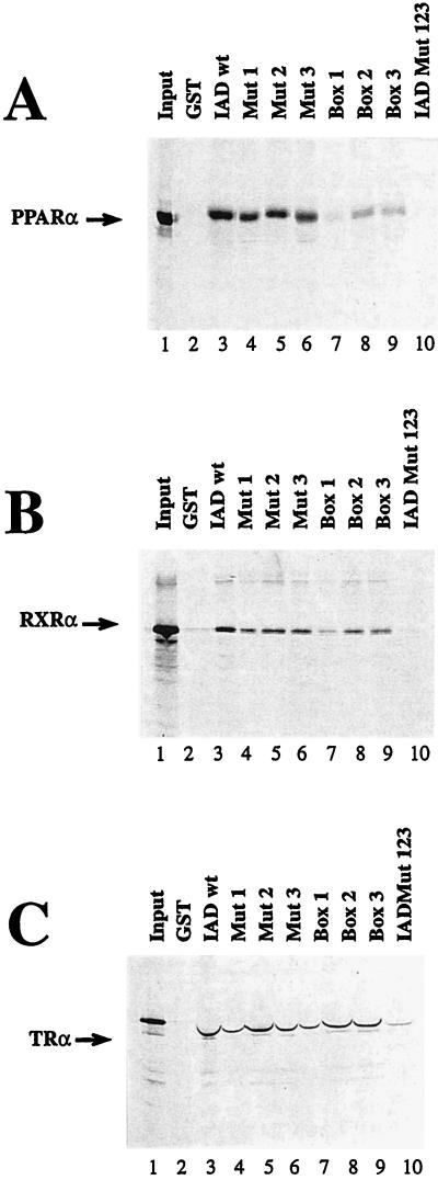 FIG. 5