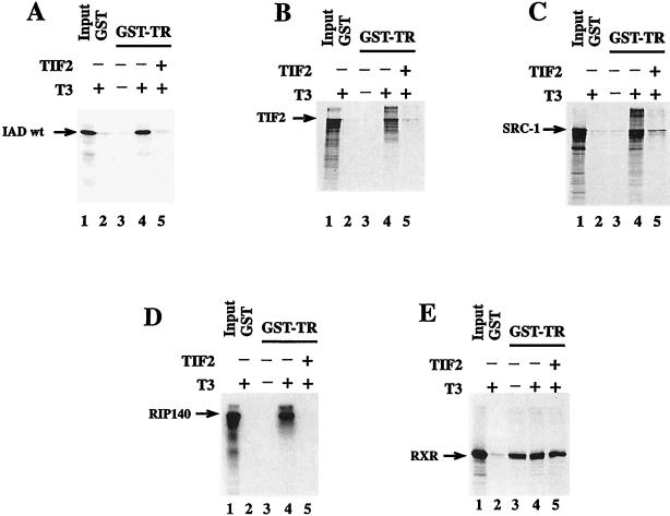 FIG. 7