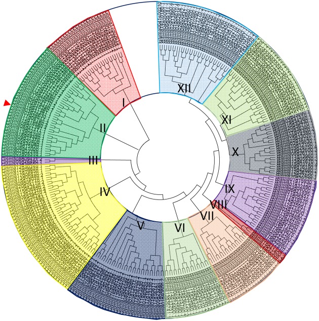 FIGURE 1