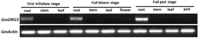 FIGURE 4