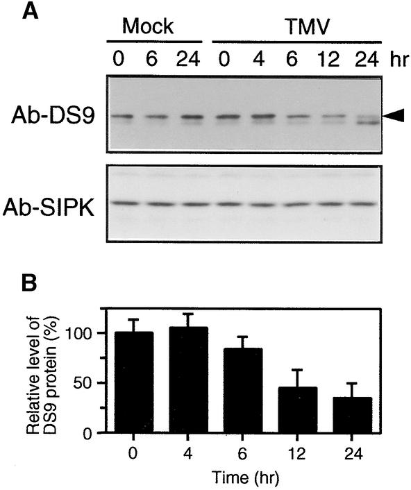 Figure 6.