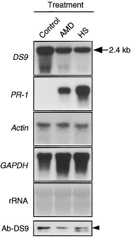 Figure 7.