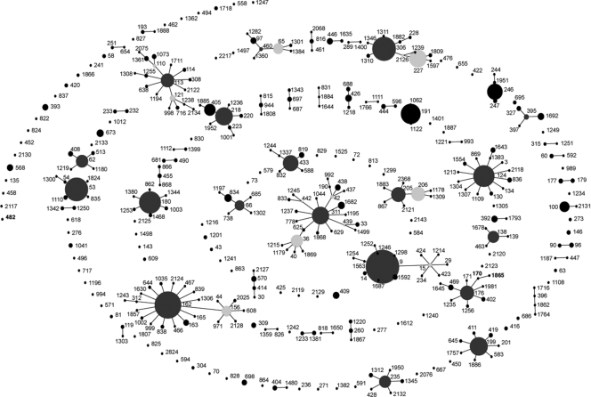 FIG. 2.