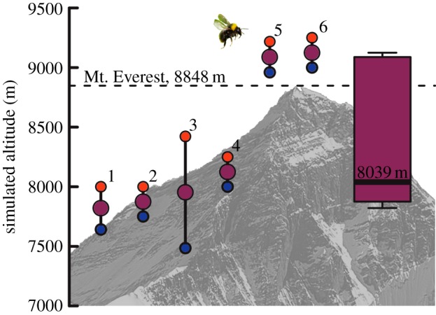 Figure 1.