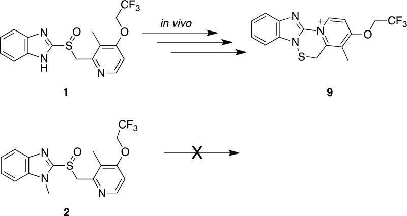 Scheme 2