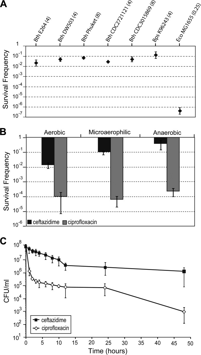 FIG 2