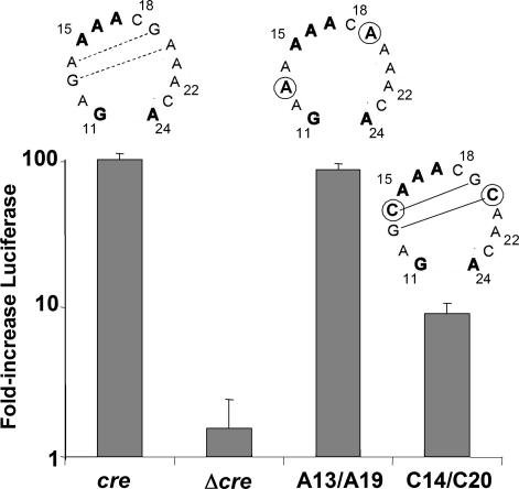 Fig. 4.