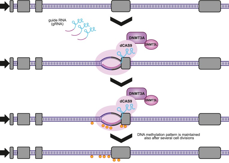 FIGURE 1.