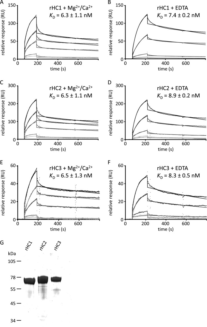 FIGURE 2.