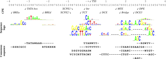 Figure 1.