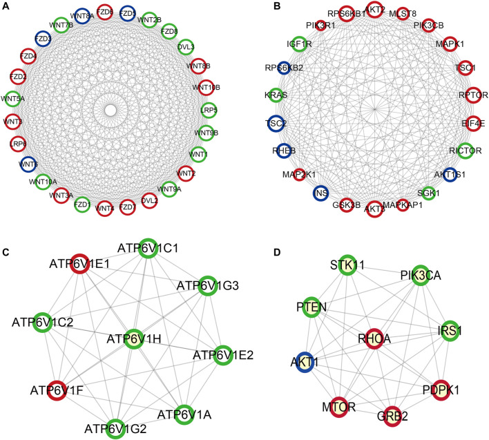 FIGURE 11