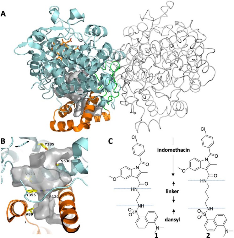 Figure 1.