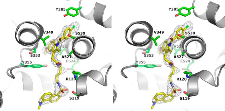 Figure 4.