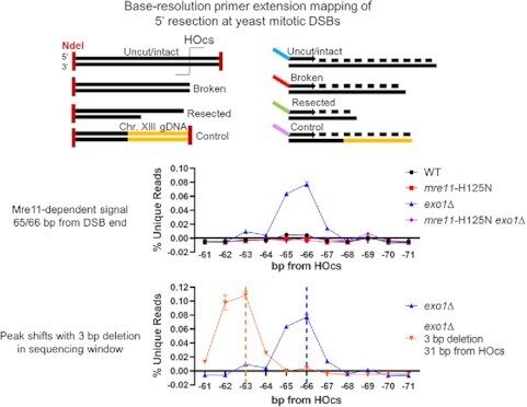 Graphical Abstract