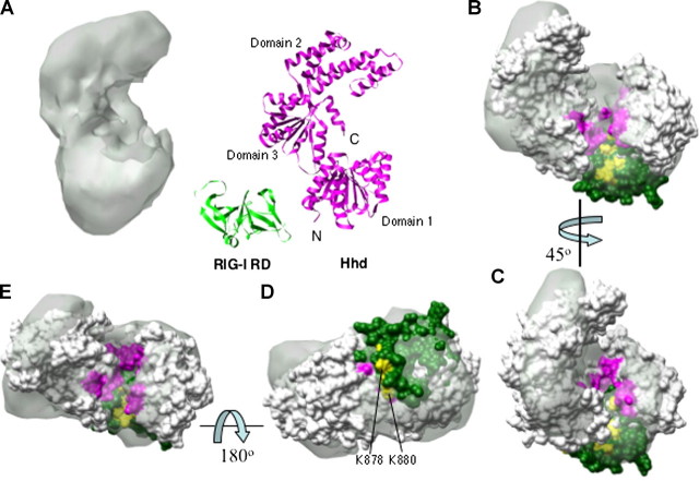 FIGURE 5.