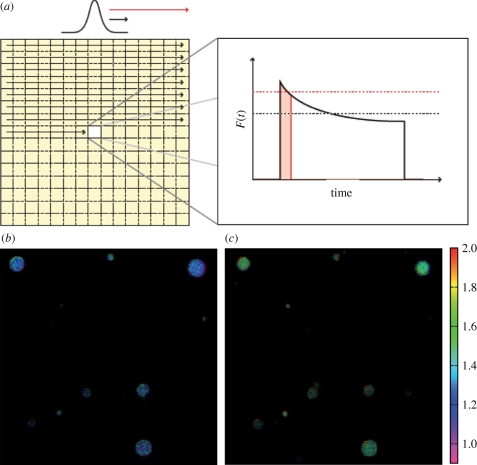 Figure 5.