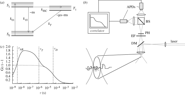 Figure 1.