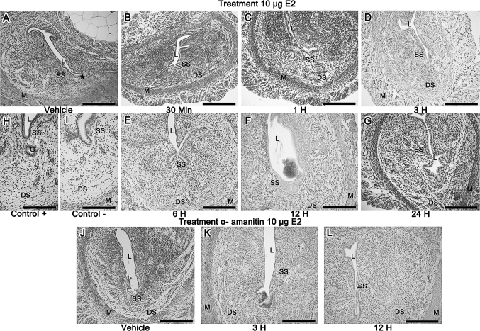 Fig. 5