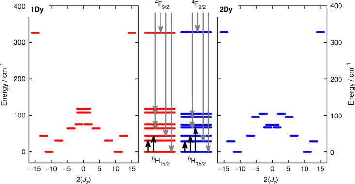 Fig. 2