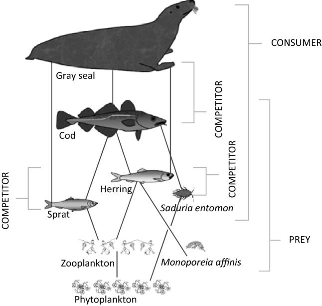 Fig. 2
