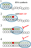 Figure 7.