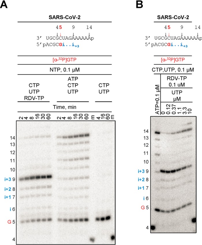 Figure 6.