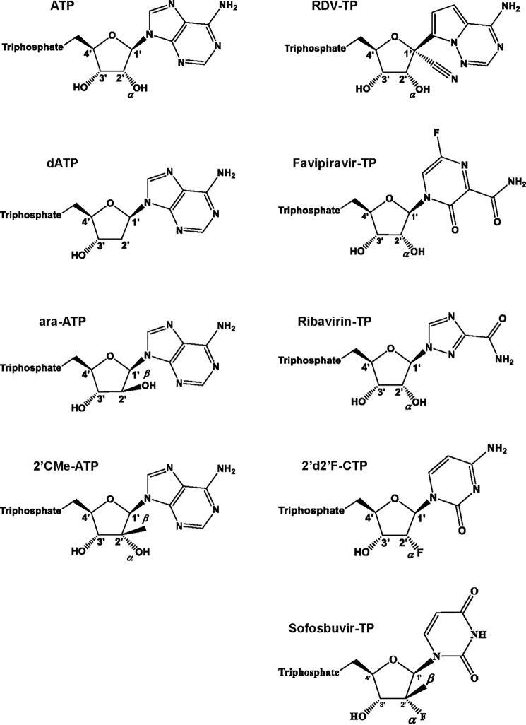 Figure 2.