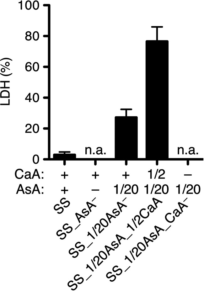 FIG 6