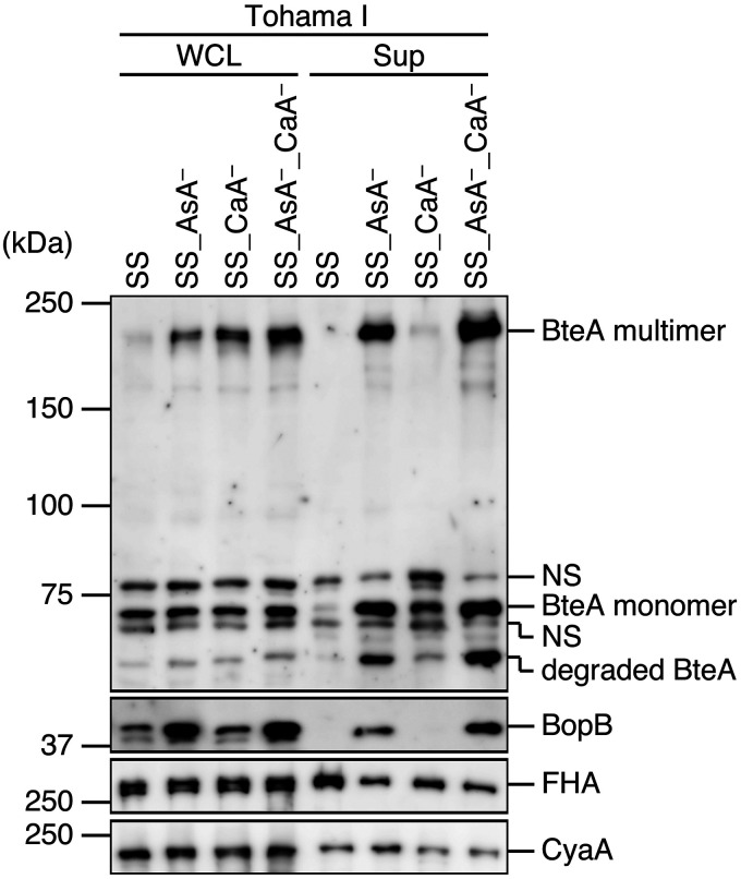 FIG 2