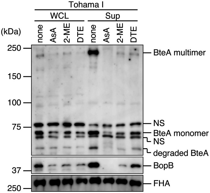 FIG 9