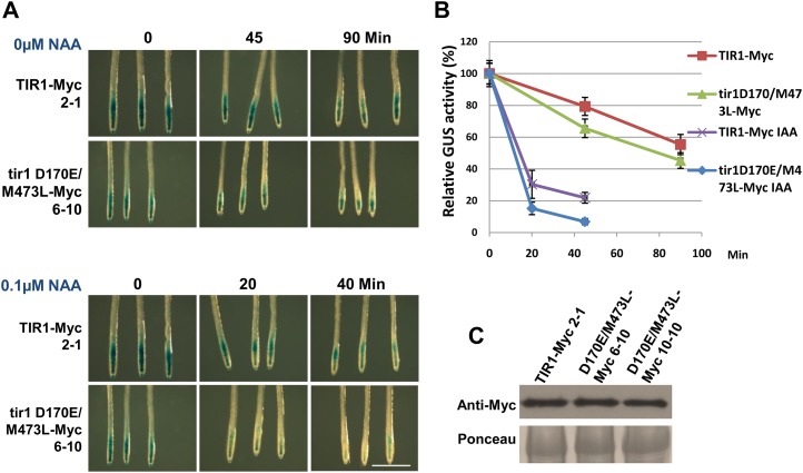 Figure 4.