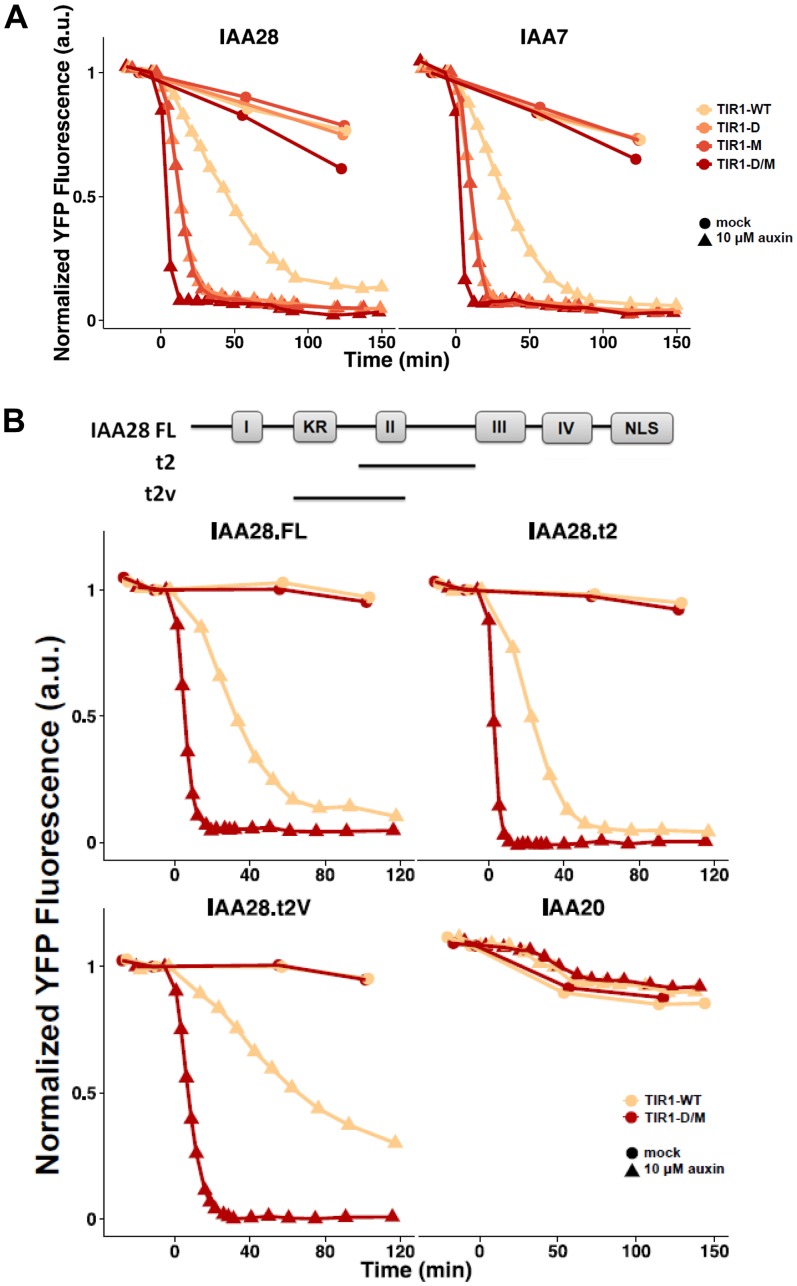 Figure 5.