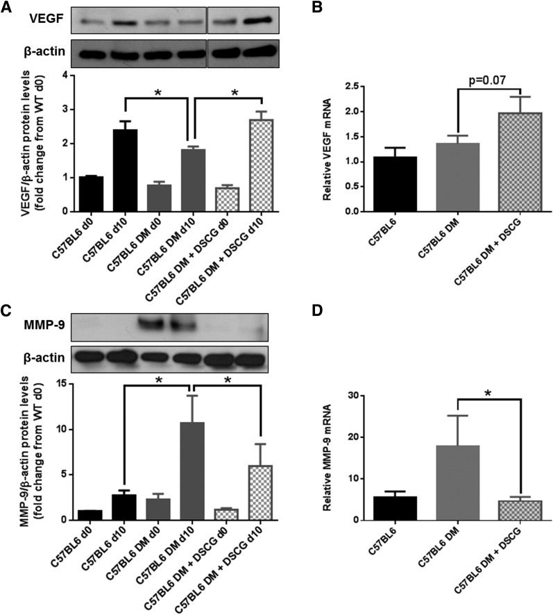 Figure 7