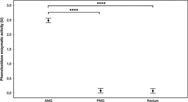 Fig. 7