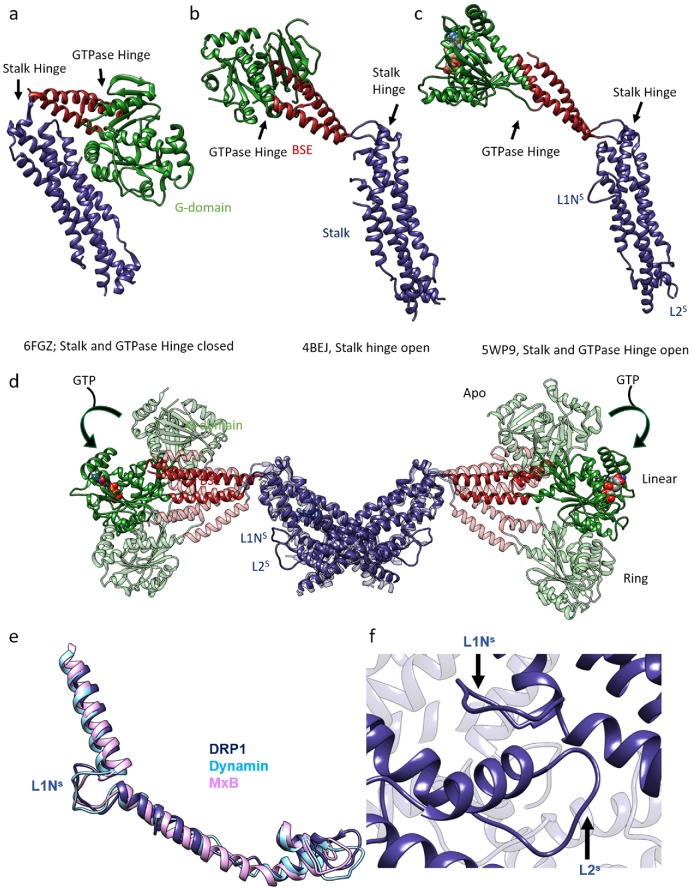 FIGURE 1: