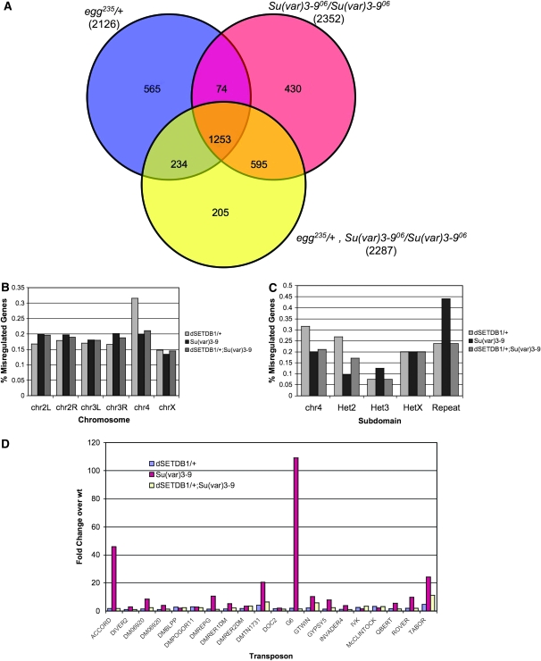 Figure 6.—