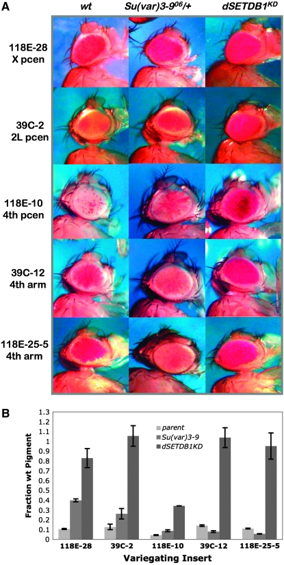 Figure 2.—