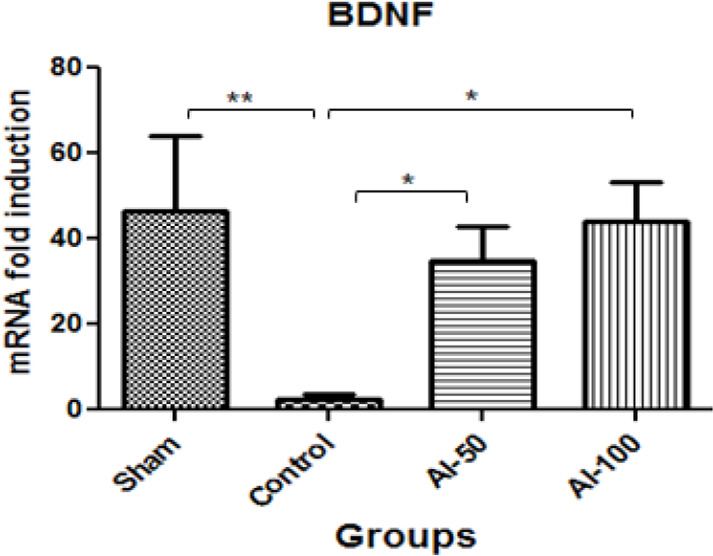 Figure 5.