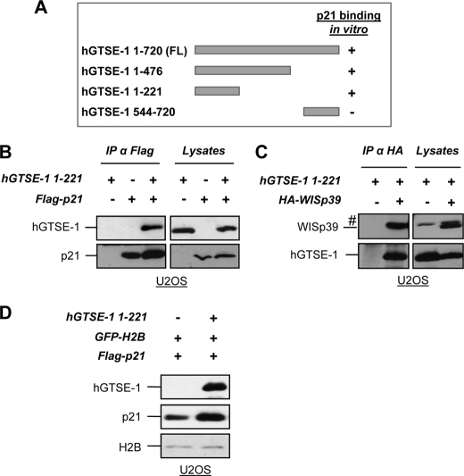 FIGURE 4.