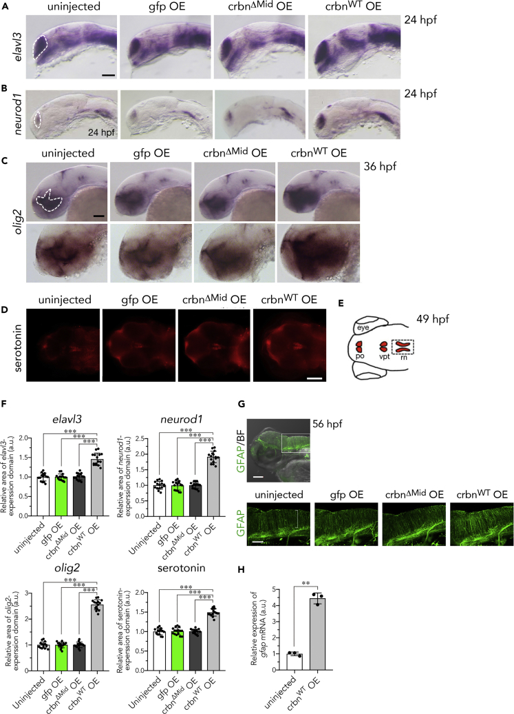 Figure 6