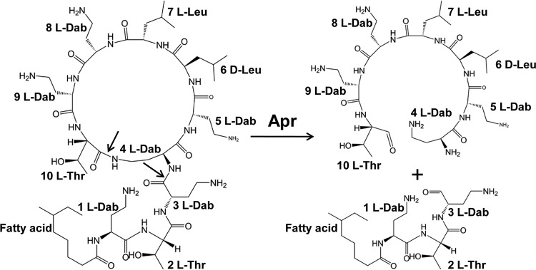 FIG 1