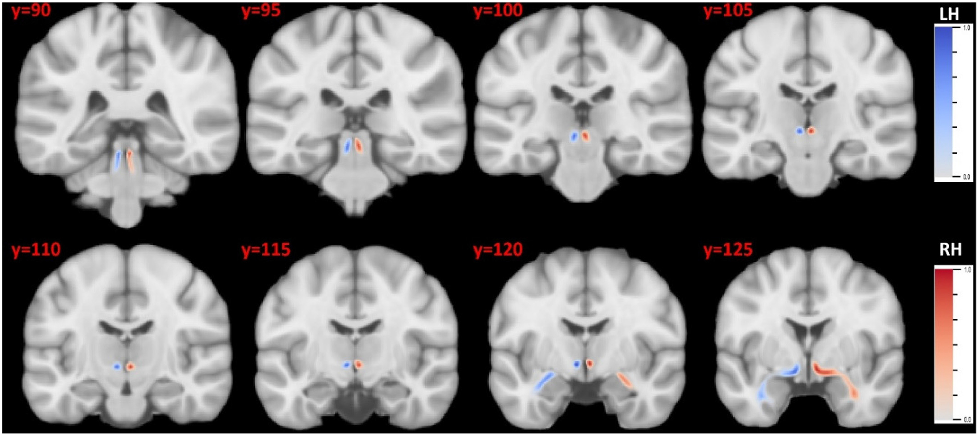 Fig. 7.