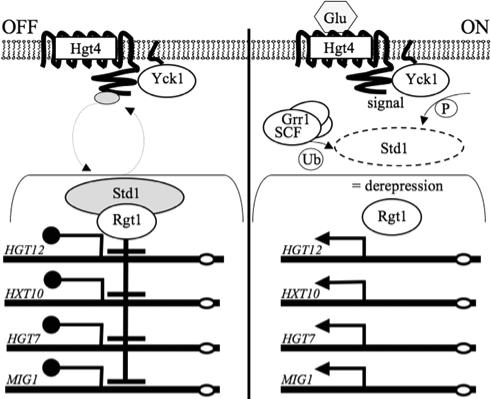 FIG. 9.