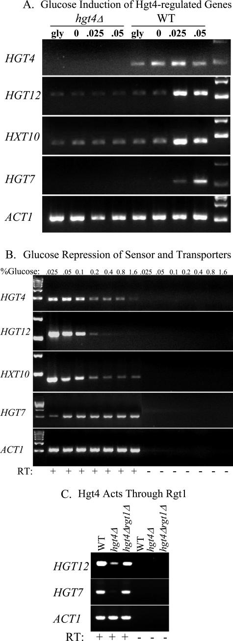 FIG. 6.