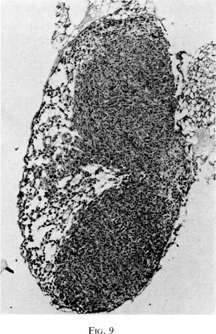 Fig. 9