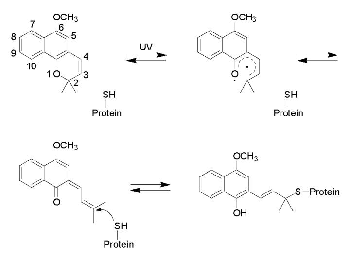 Scheme 1